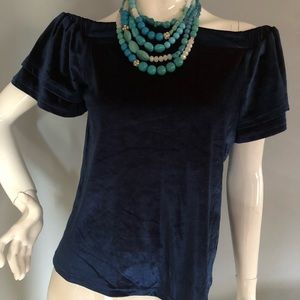 Beautiful Blue Velvet Off the Shoulder Top